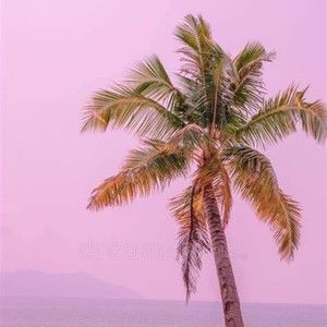 Meet your Posher, Abigail